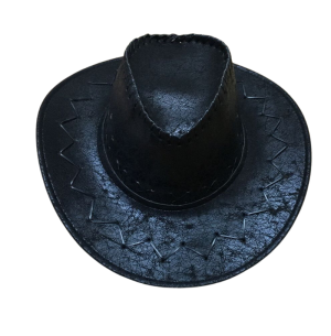 CHAPÉU IDEA BOIADEIRO SINT.