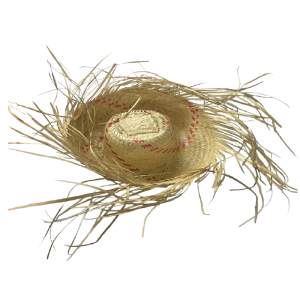 CHAPÉU PALHA CARAVANA DESFIADO