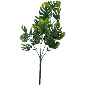 FLOR BUQUÊ X5 COSTELA DE ADÃO