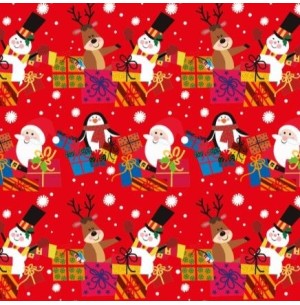 BOBINA PAPEL COUCHE 60CM 100M NATAL